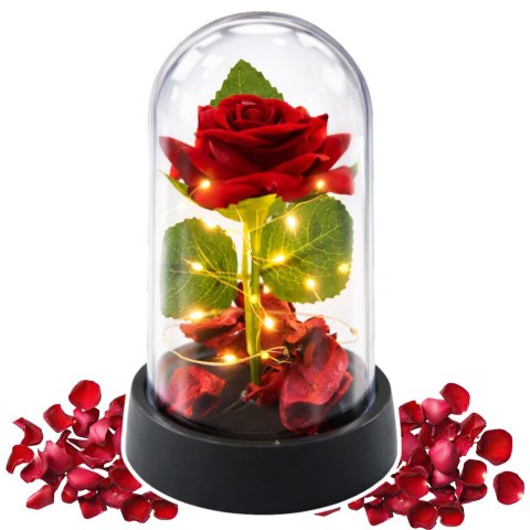 Wieczna Róża w Kopule z Oświetleniem LED Czerwona z Płatkami Róż 14x8cm
