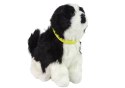Interaktywny Pies Piesek Border Collie Pluszowy Szczeka Rusza Ogonem