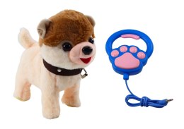 Pies Interaktywny Na Smyczy Chodzi Tańczy Śpiewa Biało Beżowy