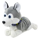 Pies Pluszowy Na Baterie Interaktywny Husky Porusza Się Wydaje Dźwięki