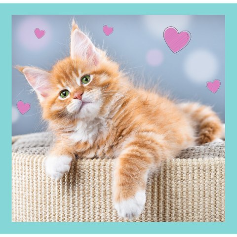 Puzzle - 3w1 (20, 36, 50) - Słodkie zwierzaki - Trefl 34862