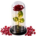 Wieczna Róża w Kopule z Oświetleniem LED Czerwona 21x11cm