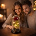 Wieczna Róża w Kopule z Oświetleniem LED Czerwona 21x11cm