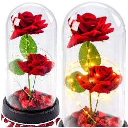 Wieczne 2 Róże w Kopule z Oświetleniem LED i Płatkami Róż Czerwone 21x11cm