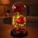 Wieczne 2 Róże w Kopule z Oświetleniem LED i Płatkami Róż Czerwone 21x11cm