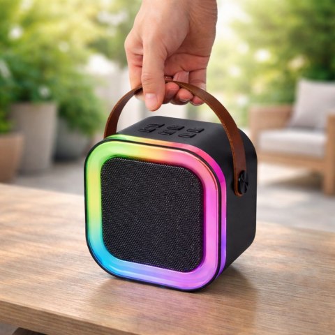 Zestaw Do Karaoke Głośnik Dwa Mikrofony Światła LED Czarny