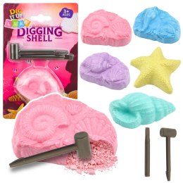 Morski Zestaw Archeologiczny Morskie Skamieniałości Muszle Narzędzia