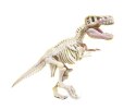 Naukowa Zabawa Skamieniałości Szkielet T-Rex Język Polski Clementoni 50858